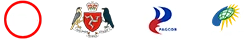 dt (1)